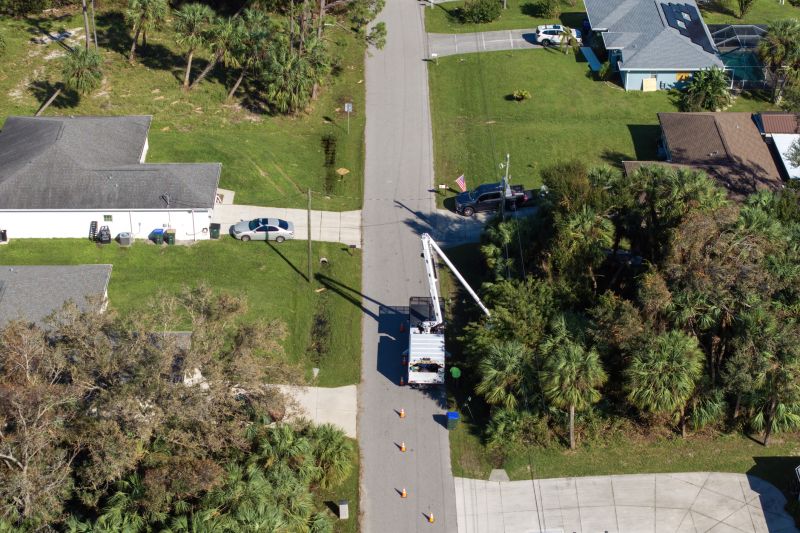 Commercial Tree Service