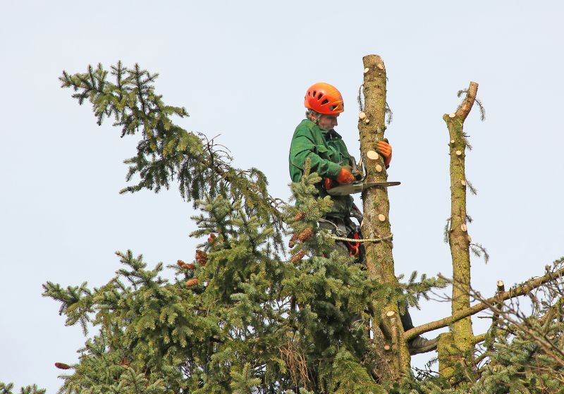 Safety Tree Trimming Equipment